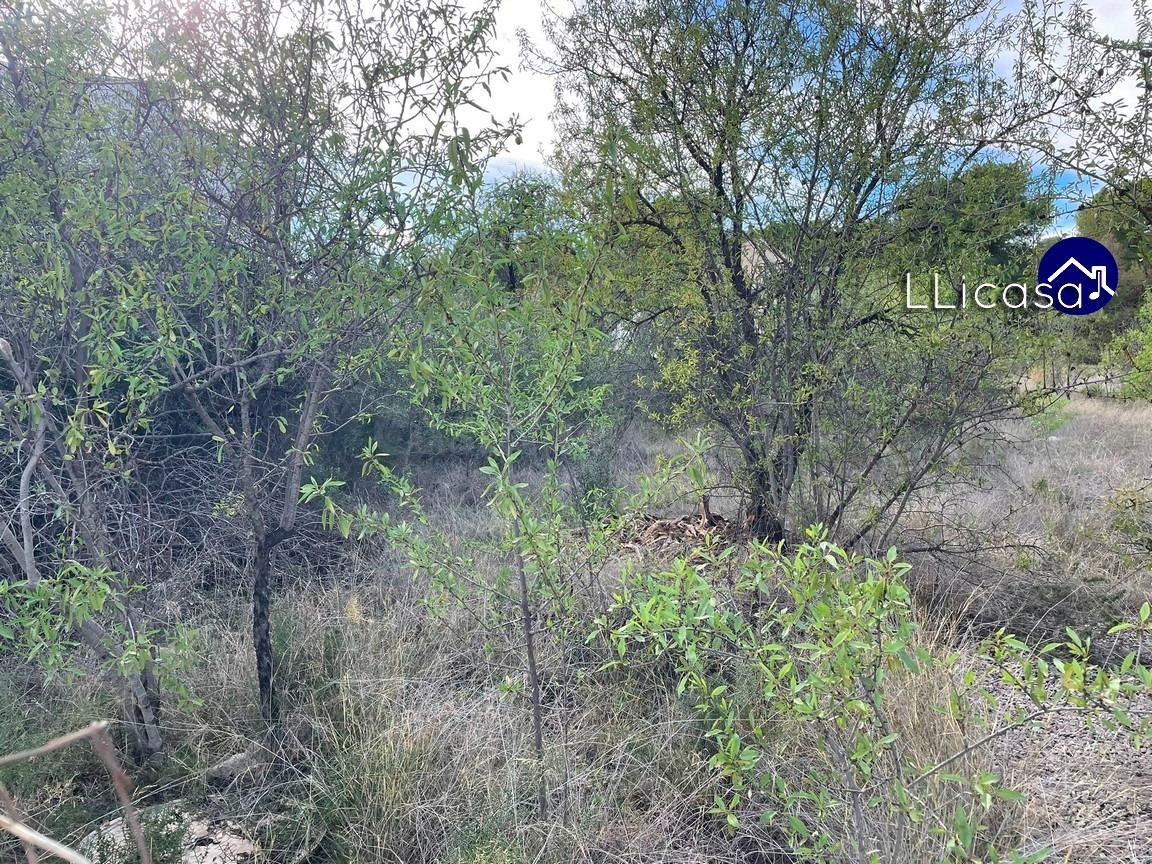 Parcela en venta - EL PINAR - foto 5
