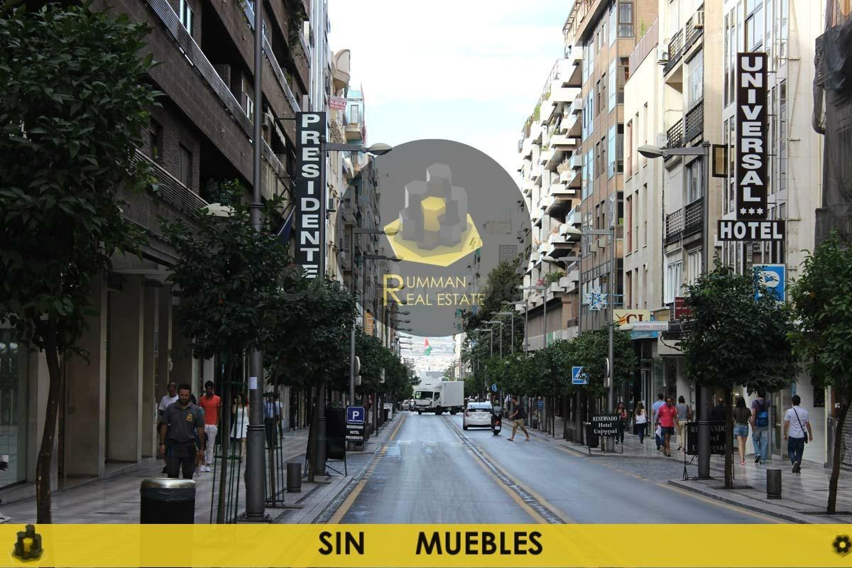 Local comercial SIN MUEBLES en Recogidas
