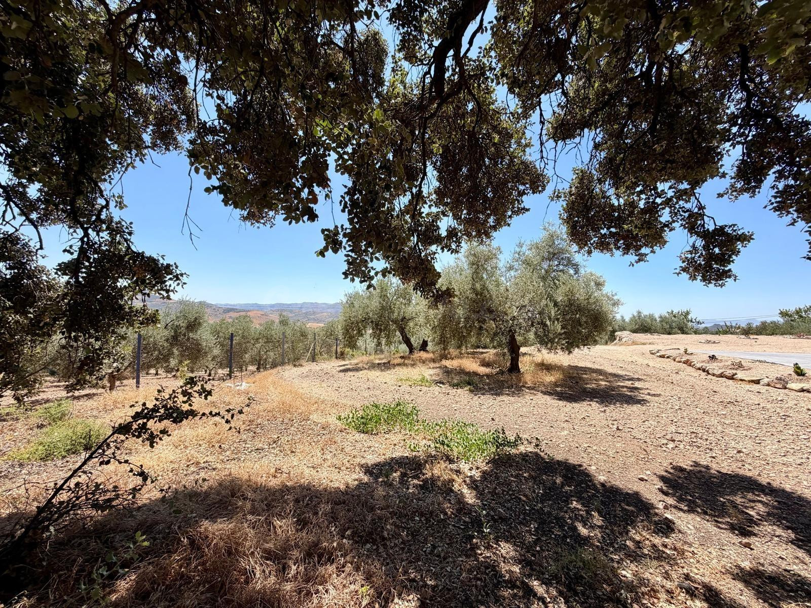Encantadora casa de campo a los pies de El Torcal de Anteque - foto 5