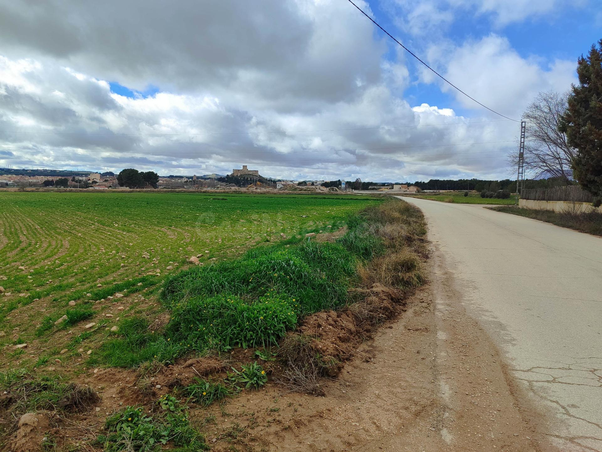 PARCELA RÚSTICA A 1 KM DEL CASCO URBANO - foto 2