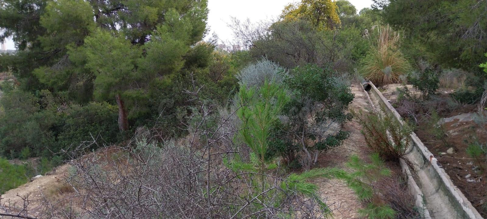 Parcela en venta. Zona Karting la cala en la carretera de Vi - foto 4