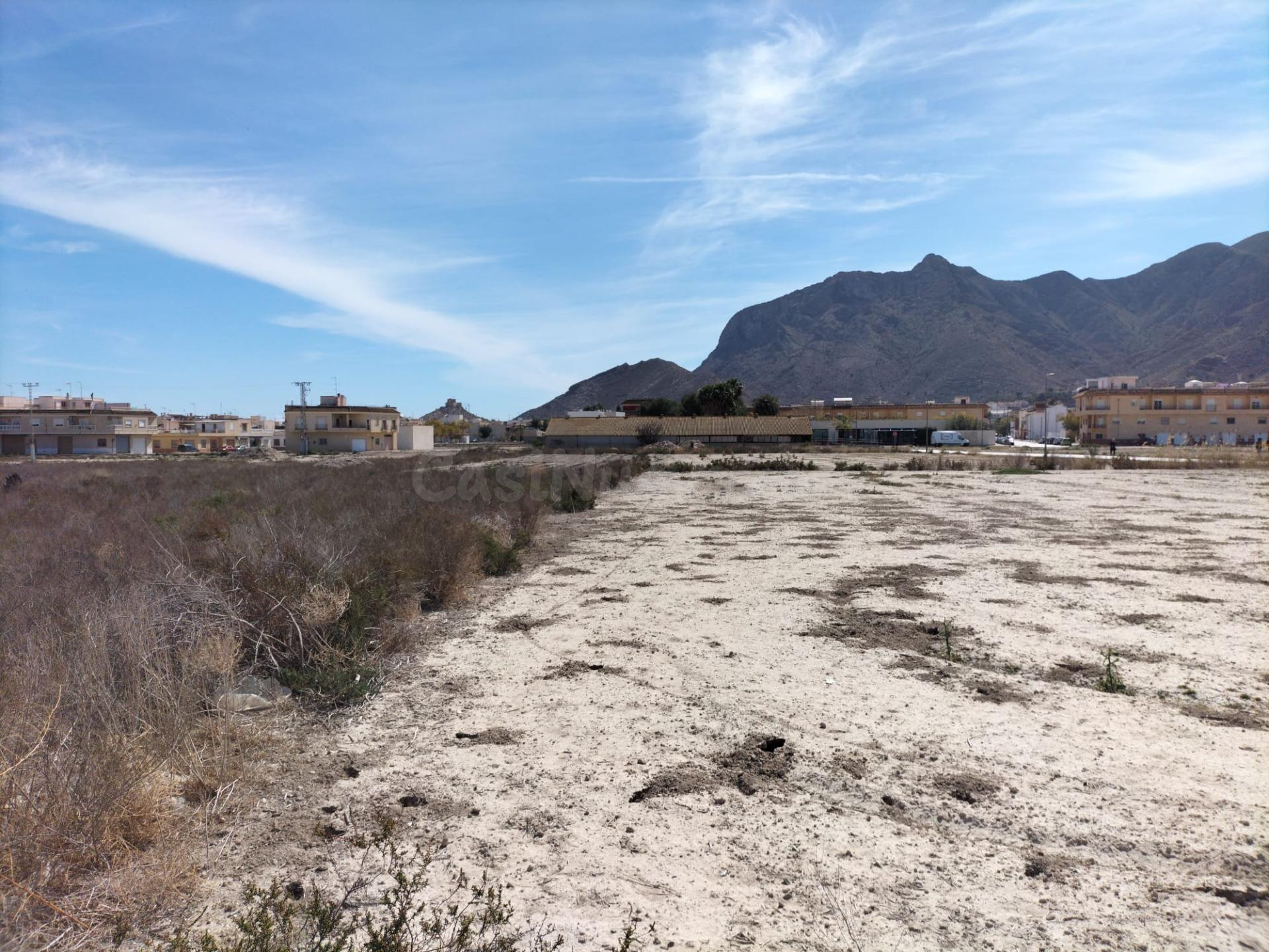 TERRENO URBANIZABLE EN COX