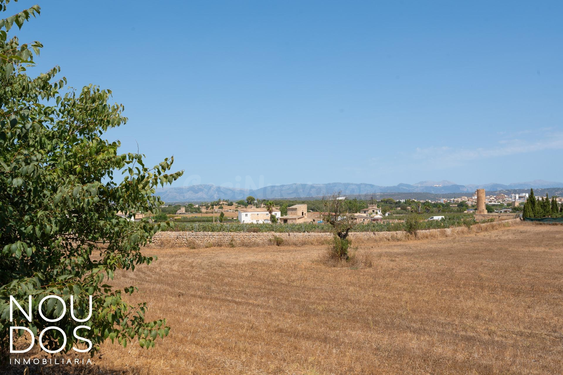 Solar urbanizable en S'Aranjassa – Es Pil·larí - foto 3