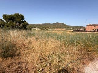 En ventas: 2 parcelas independientes -  Santa Oliva - foto 2