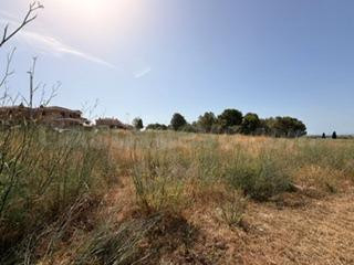 En ventas: 2 parcelas independientes -  Santa Oliva - foto 5