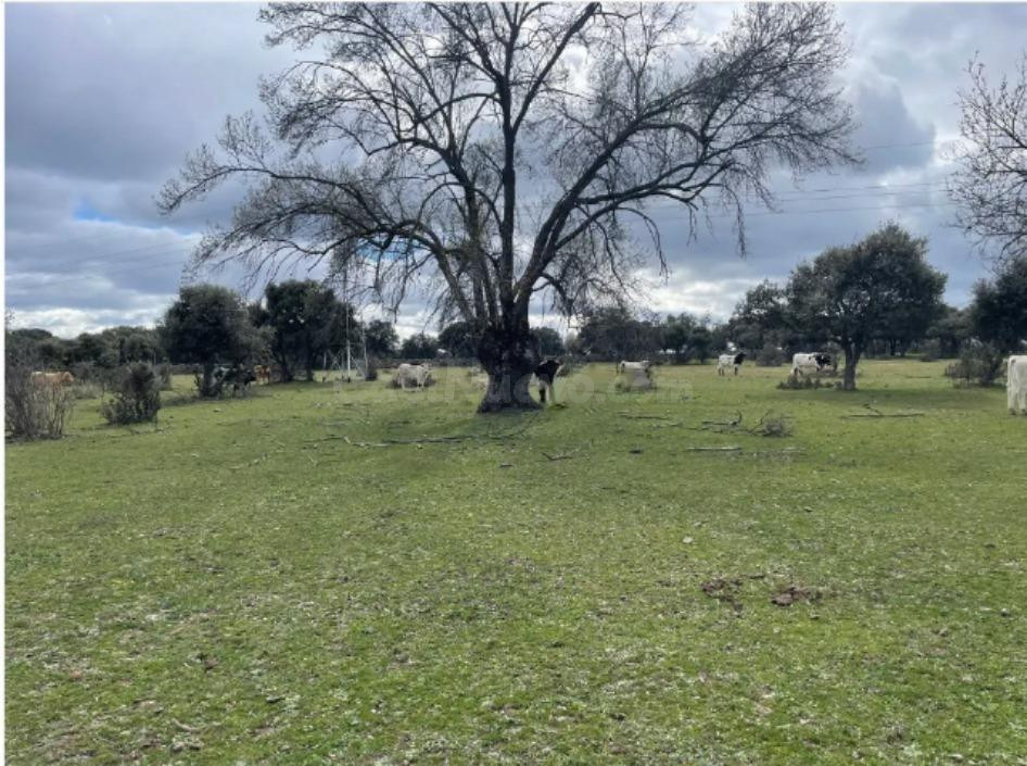 Terreno rural en venta - Romacalderas - foto 2