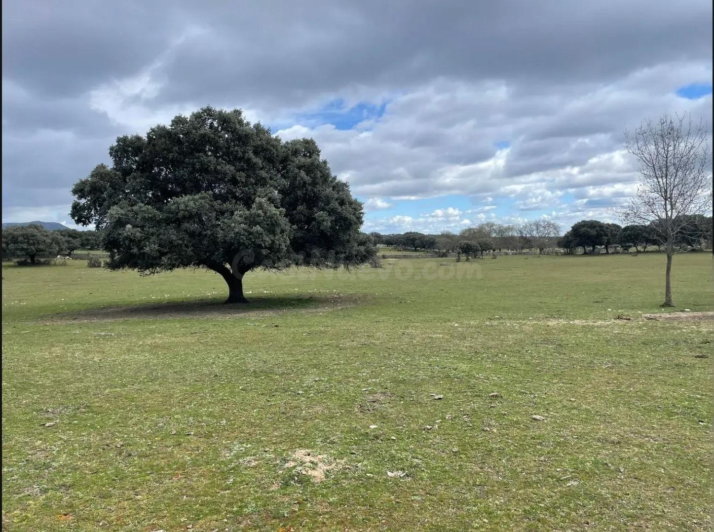 Terreno rural en venta - Romacalderas - foto 5