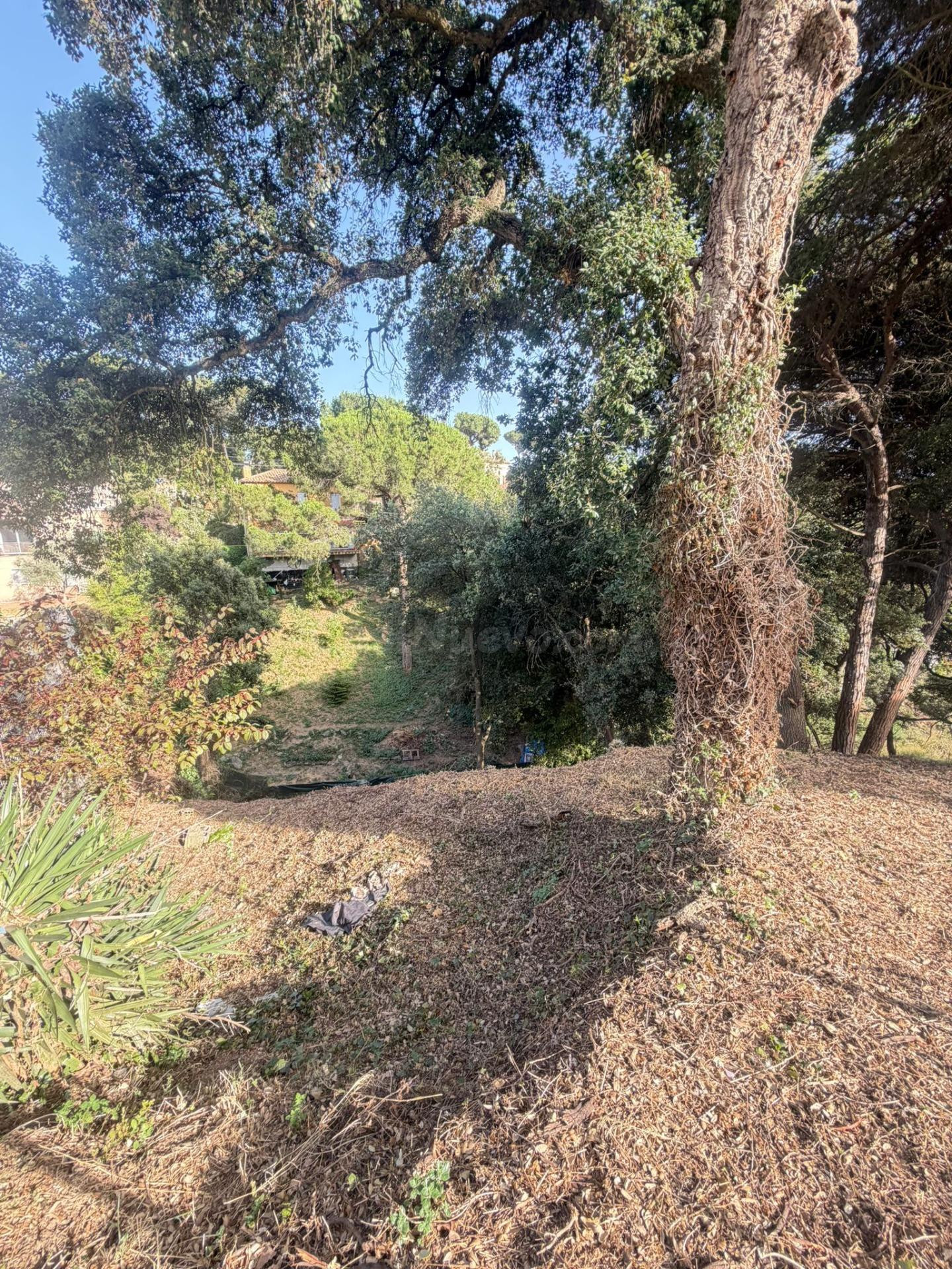 TERRENO EN VENTA EN CAN MASSUET DEL FAR (DOSRIUS) - foto 5