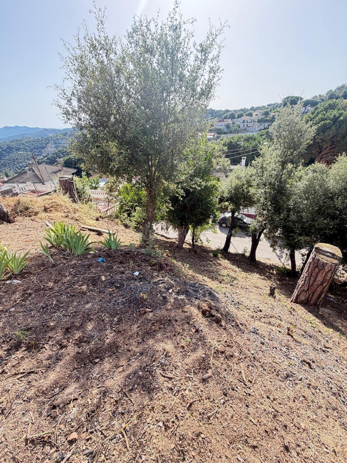 Terreno en Can Massuet del Far - foto 5