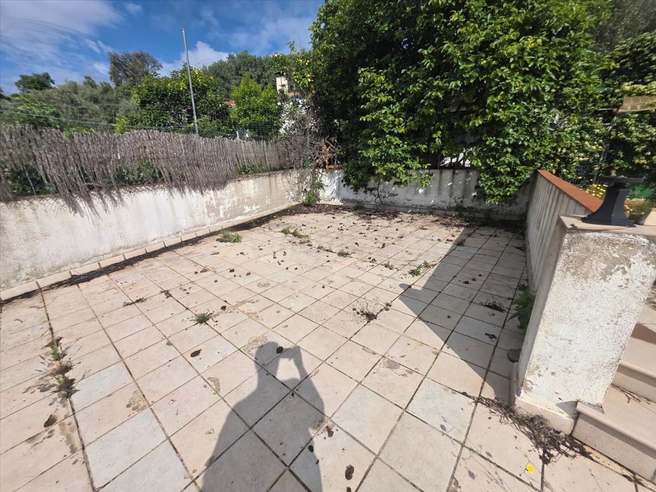 CASA OCUPADA PARA REFORMAR EN CAN FORNACA, RIUDARENES - foto 4