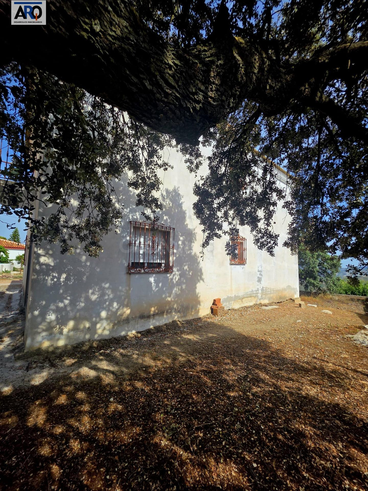 Casa independiente con más de 1.000 m2 de parcela urbana y v - foto 5
