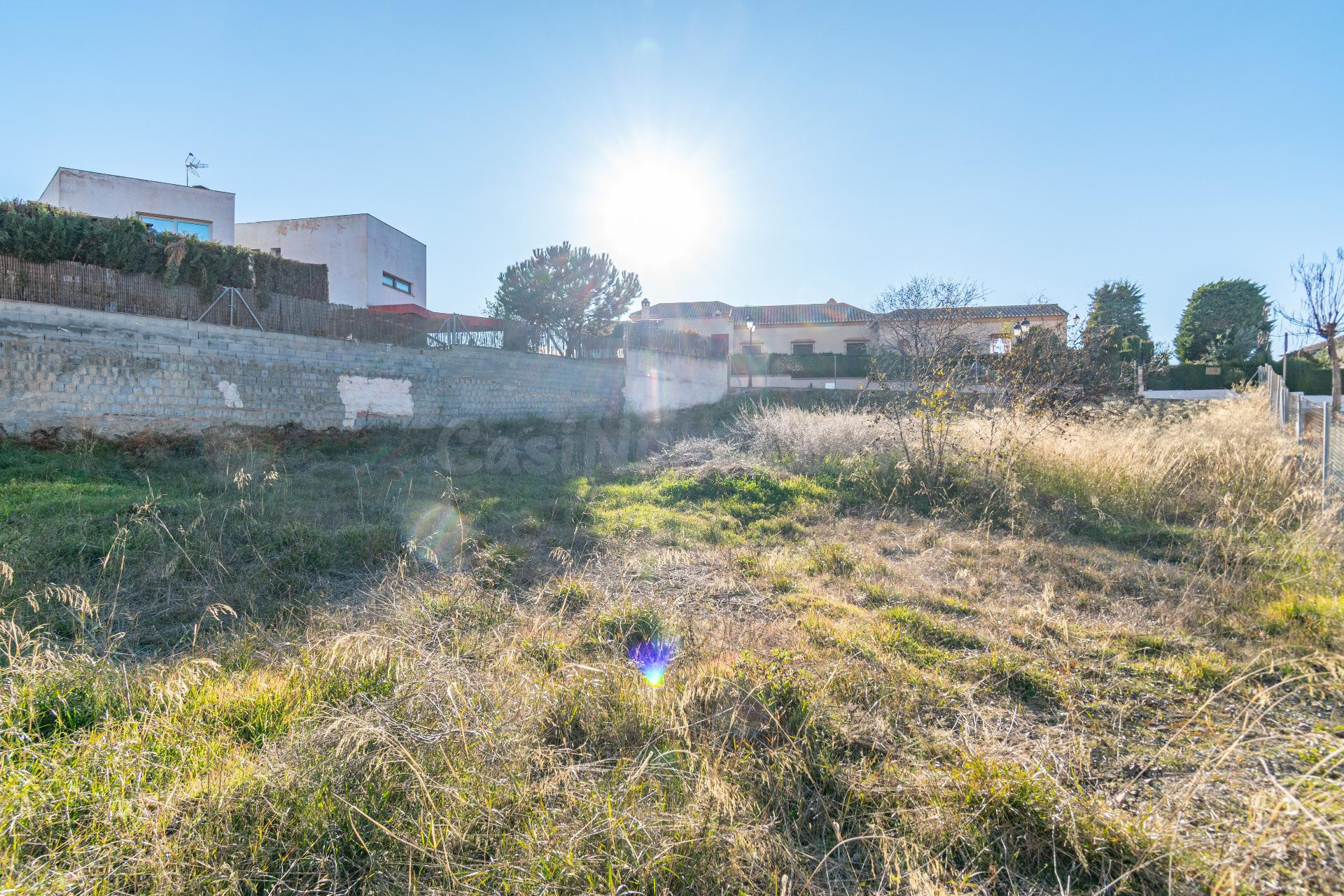 SOLAR URBANO EN URB. CORTIJO DE LA LUZ, OTURA