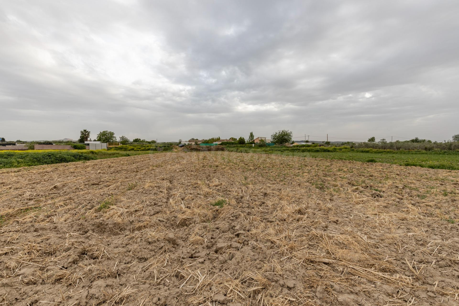PARCELA RÚSTICA DE 3.500 M2 EN SANTA FE - foto 2