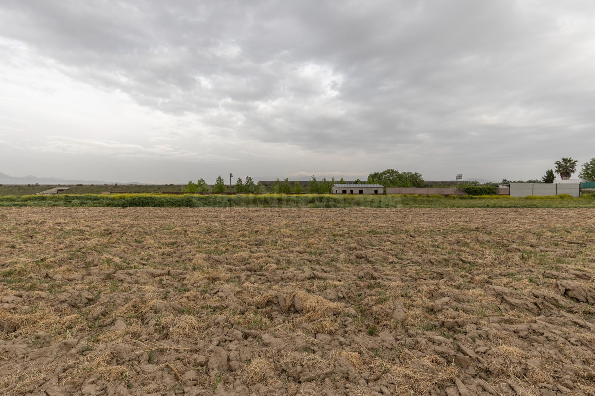 PARCELA RÚSTICA DE 3.500 M2 EN SANTA FE - foto 3