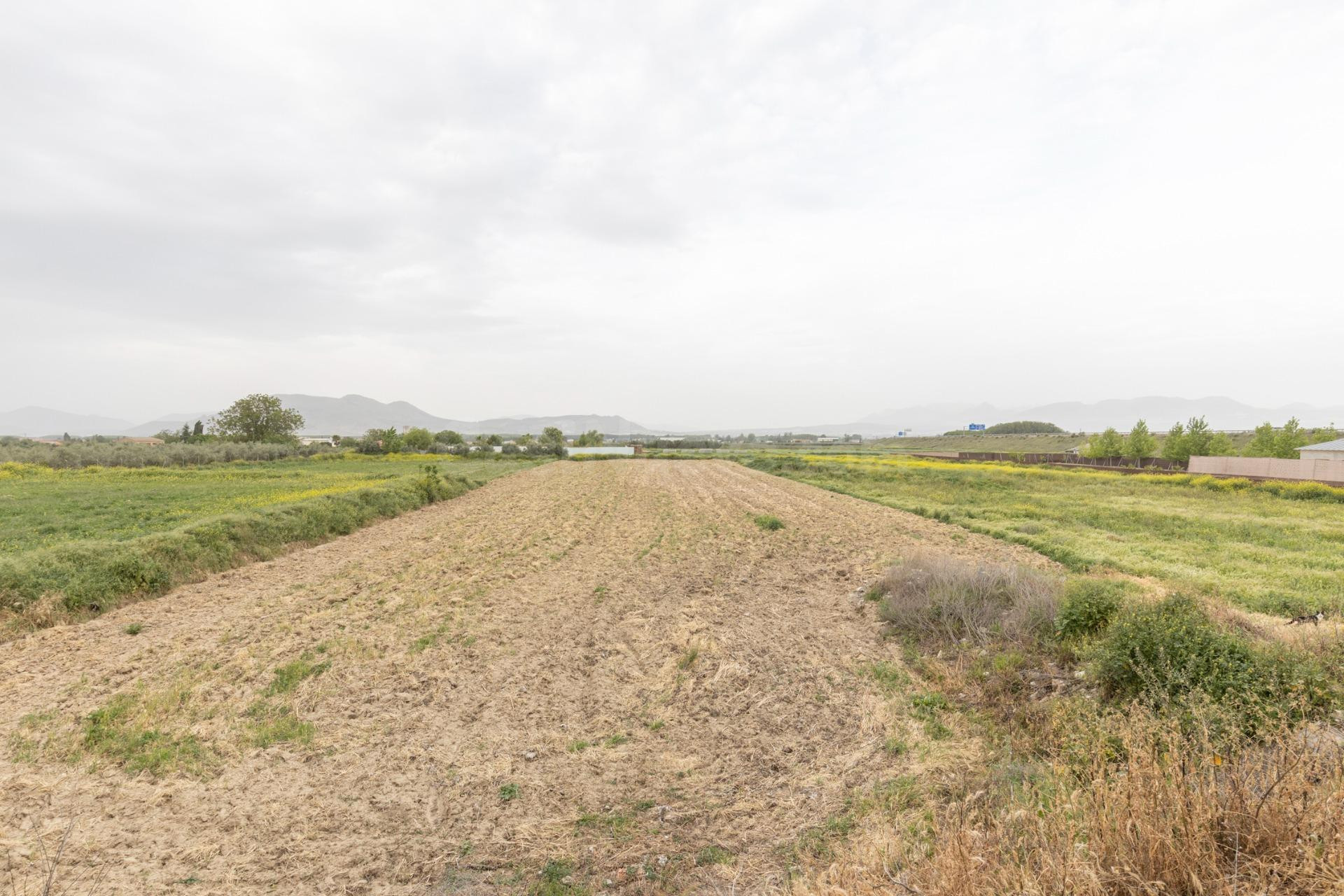 PARCELA RÚSTICA DE 3.500 M2 EN SANTA FE - foto 5