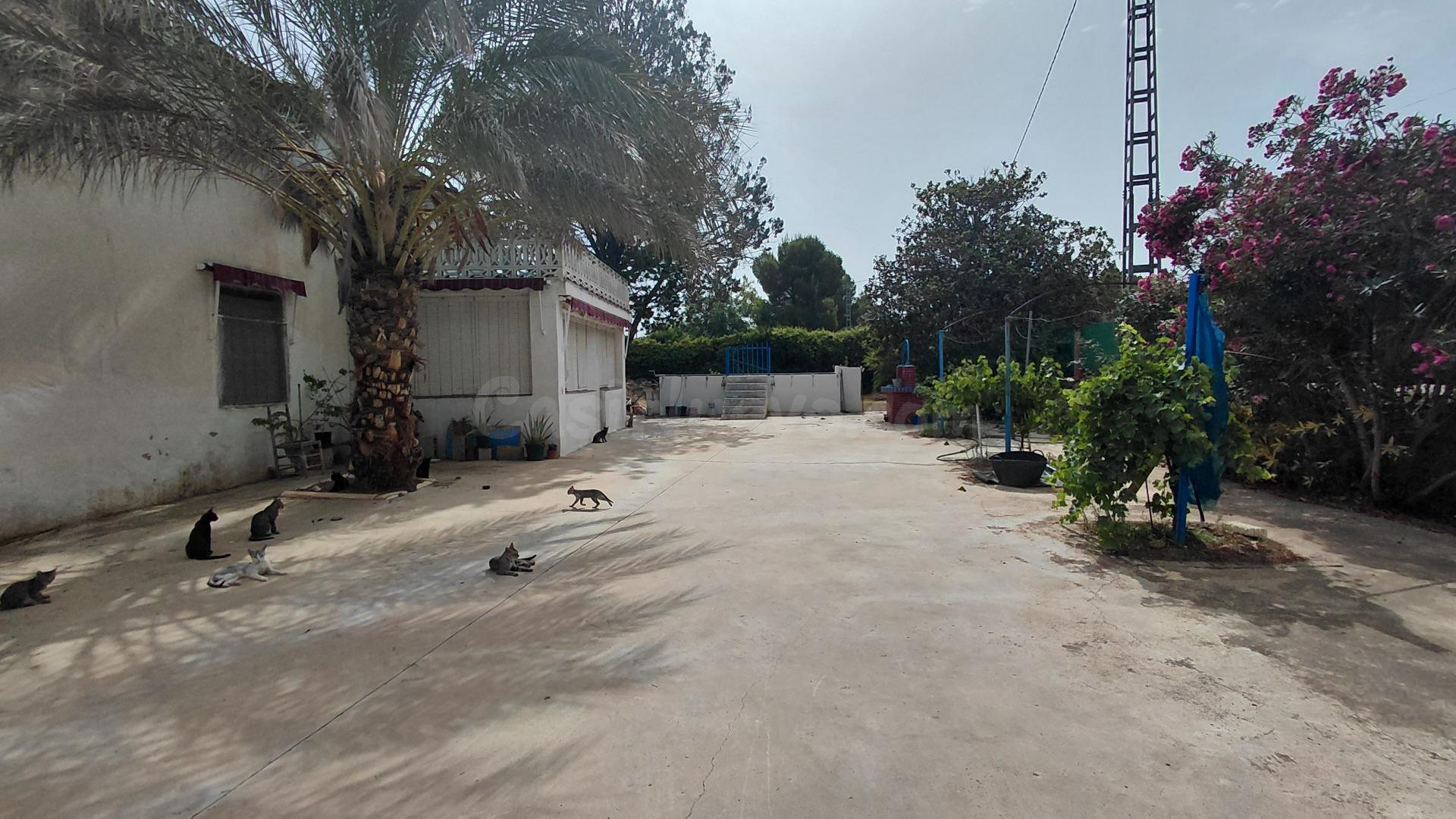Finca de 3.700 m2 con piscina, jardín y múltiples posibilidades a 5 minutos de Villena