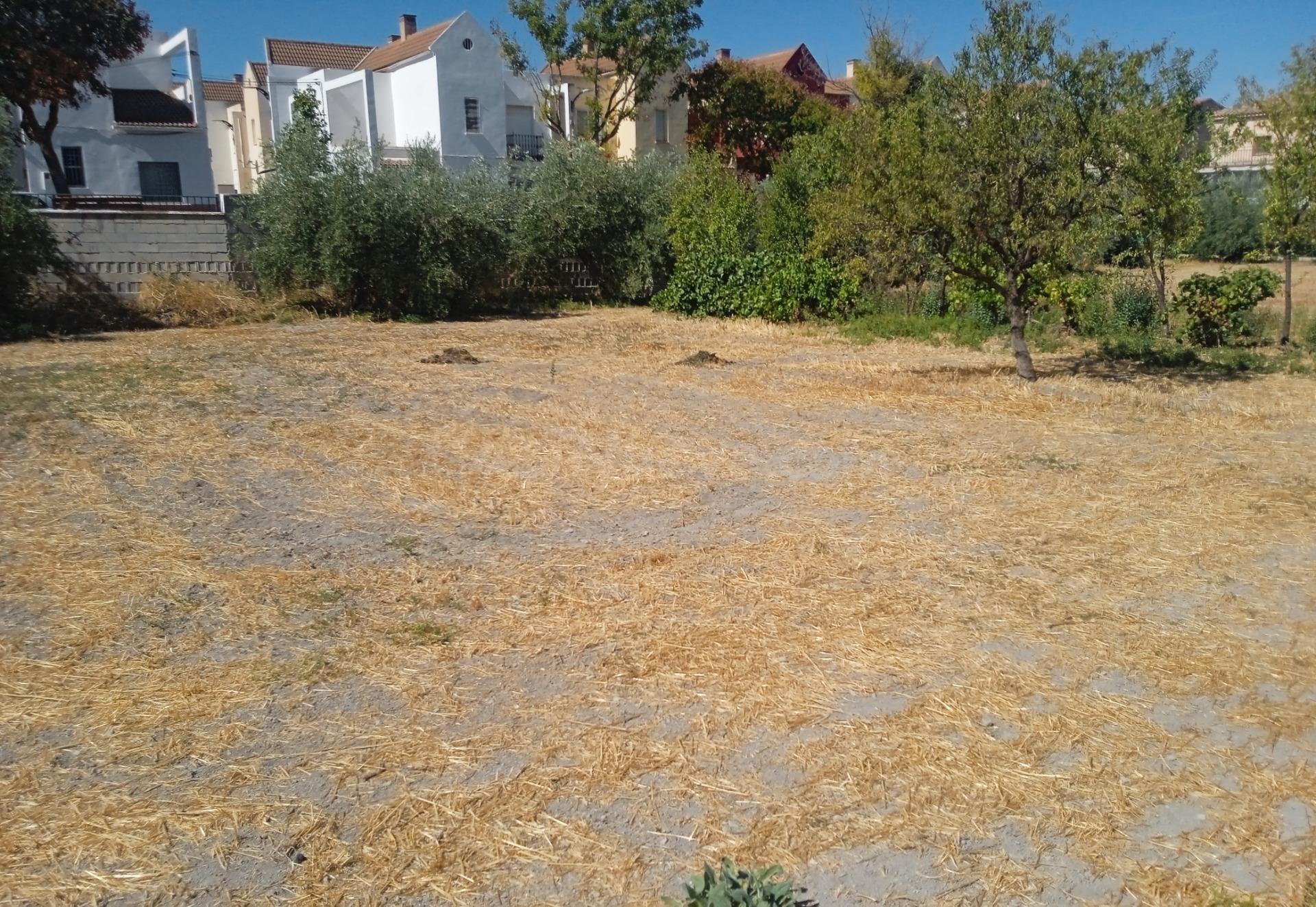 Terreno Urbano en Zújar - foto 3
