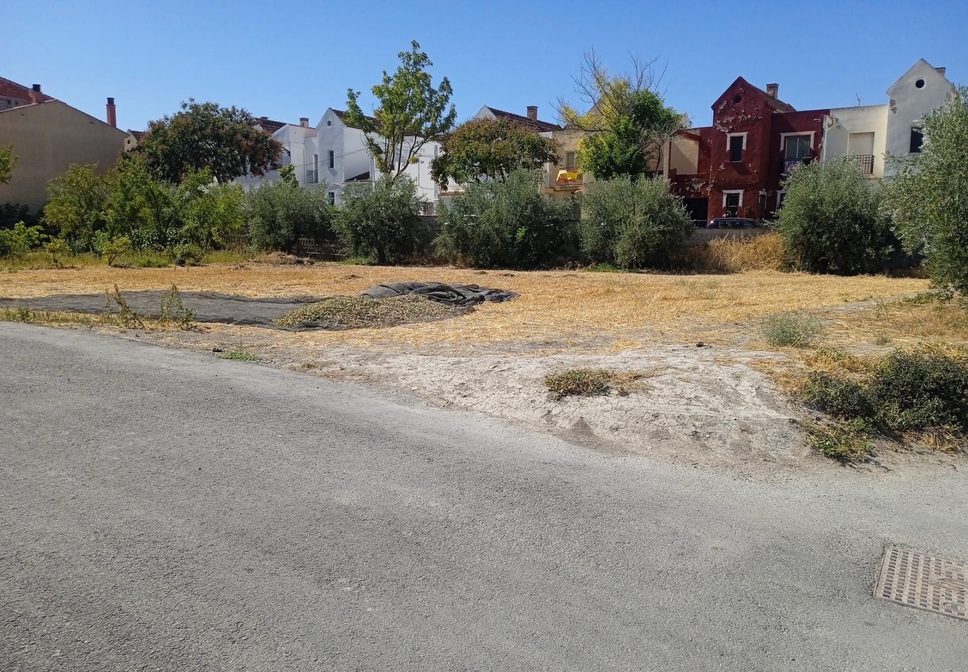 Terreno Urbano en Zújar - foto 5