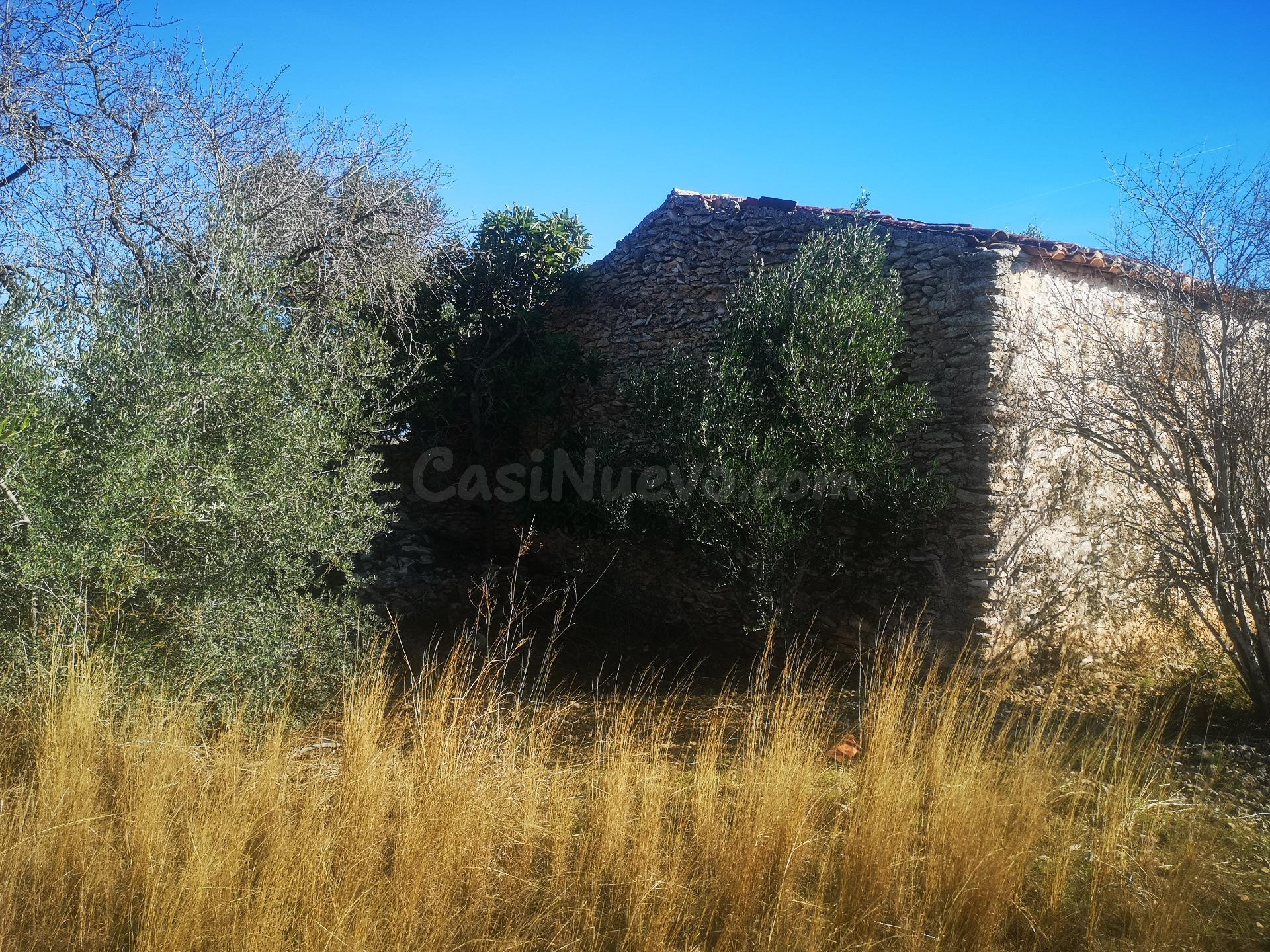 Terreno rural en venta - Traiguera - foto 2