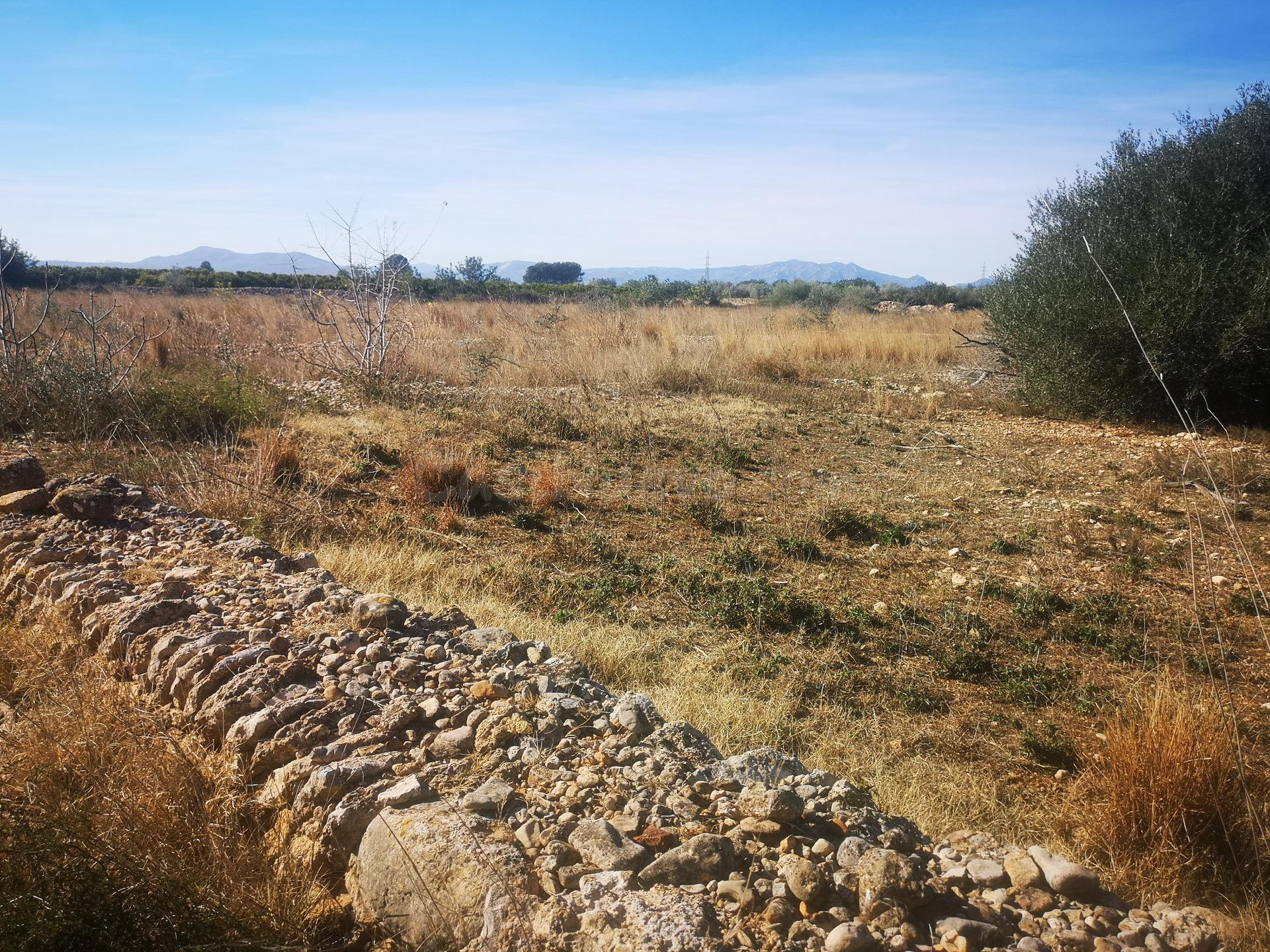 Terreno rural en venta - Traiguera - foto 4