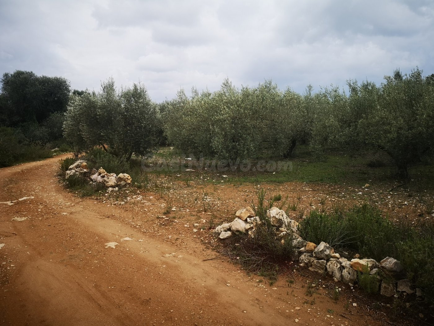 Terreno rural en venta - Ulldecona - foto 5