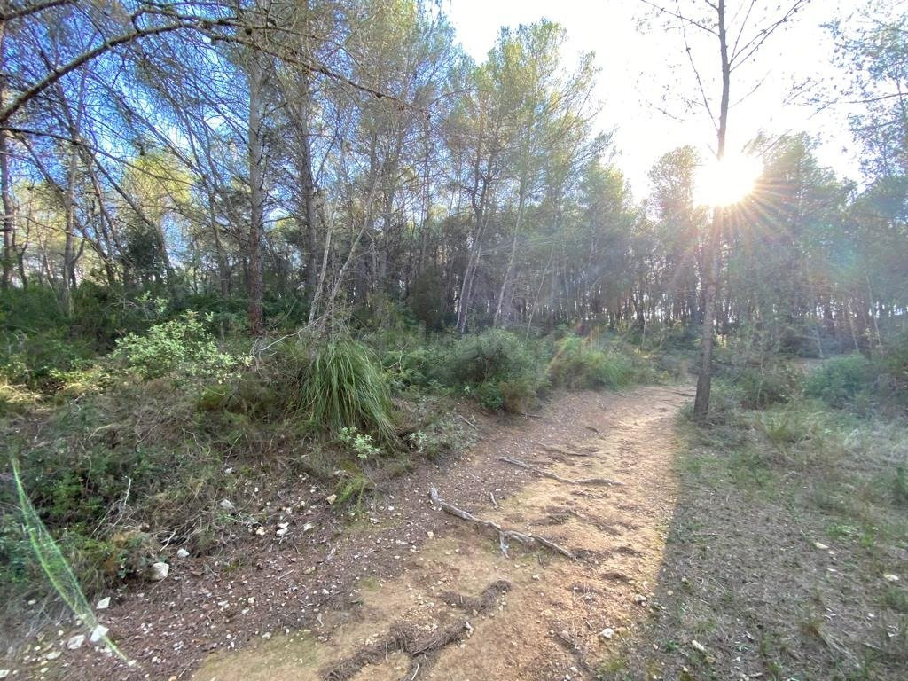 OPORTUNIDAD ENORME TERRENO EN VENTA POR 150.000€ - foto 3