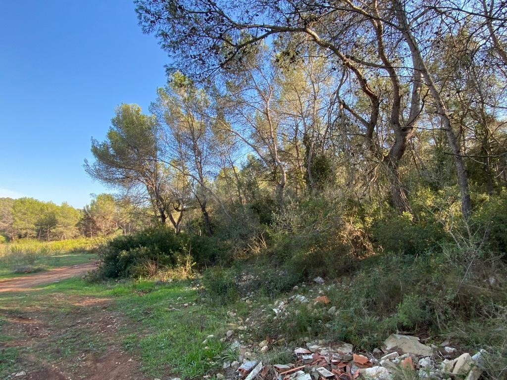 OPORTUNIDAD ENORME TERRENO EN VENTA POR 150.000€ - foto 4