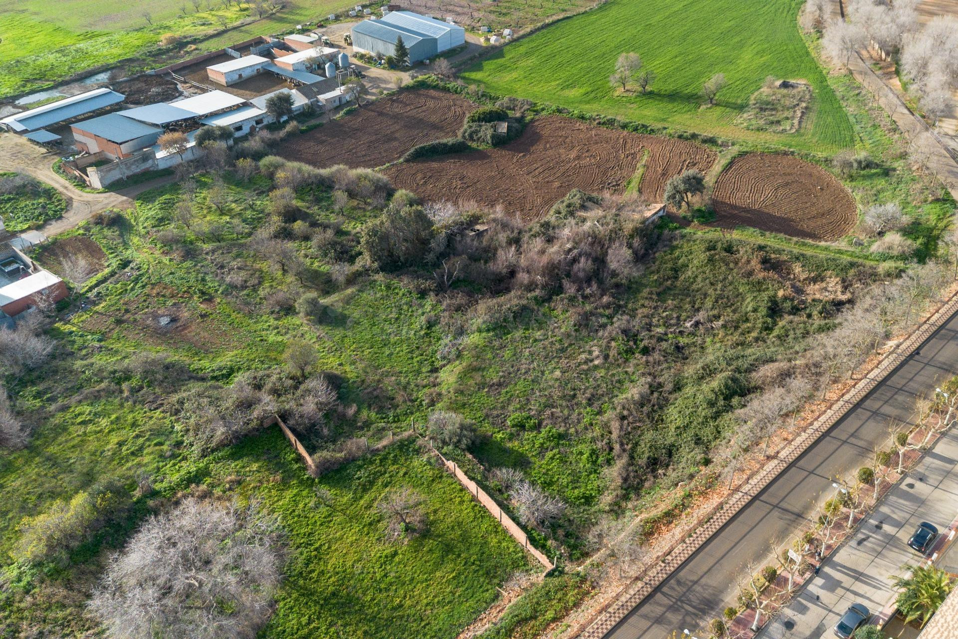 Terreno urbanizable 6744m² en venta - LOS YEBENES   TOLEDO - foto 2