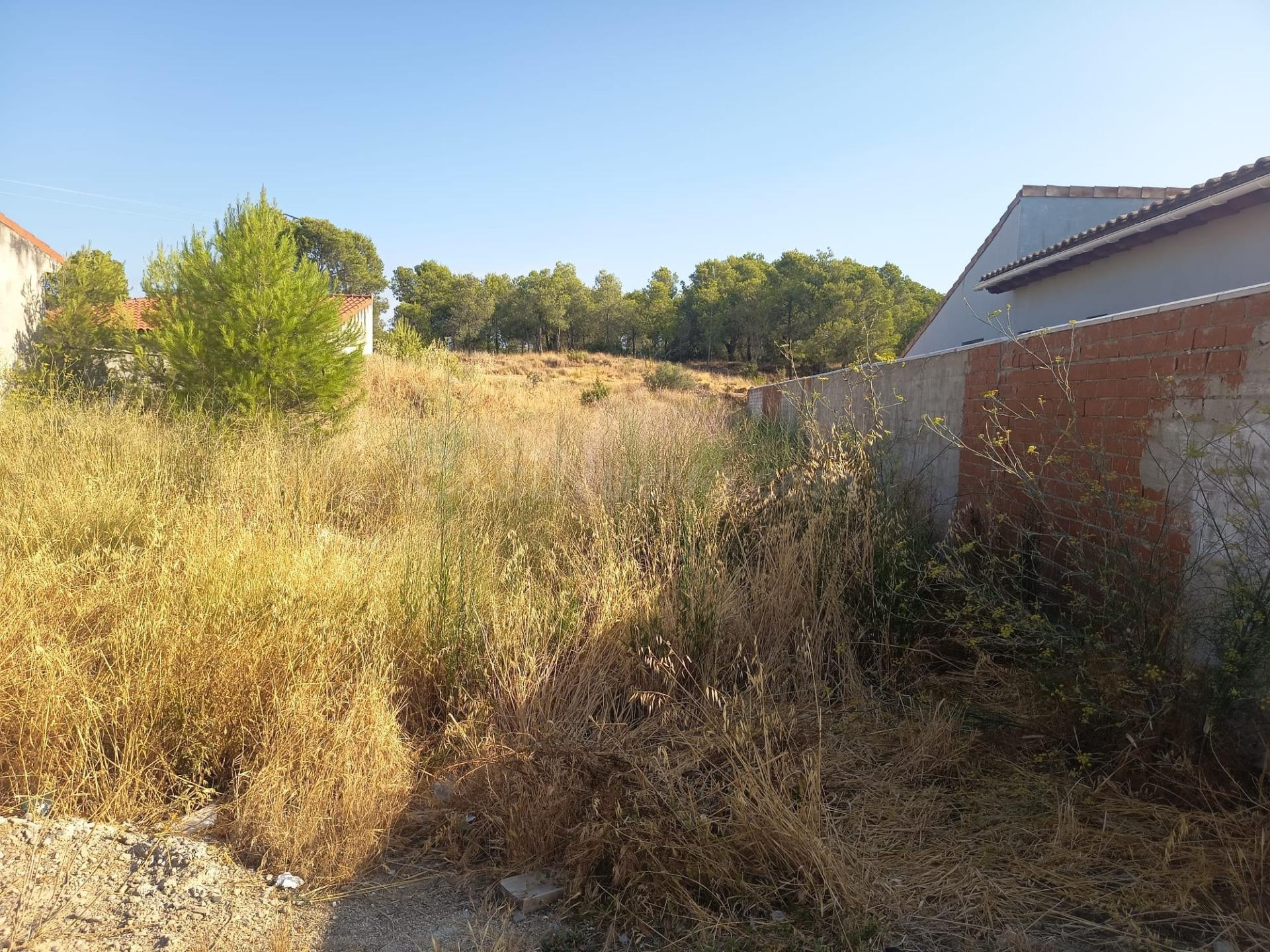 Terreno 495 M2 Rada. - foto 3