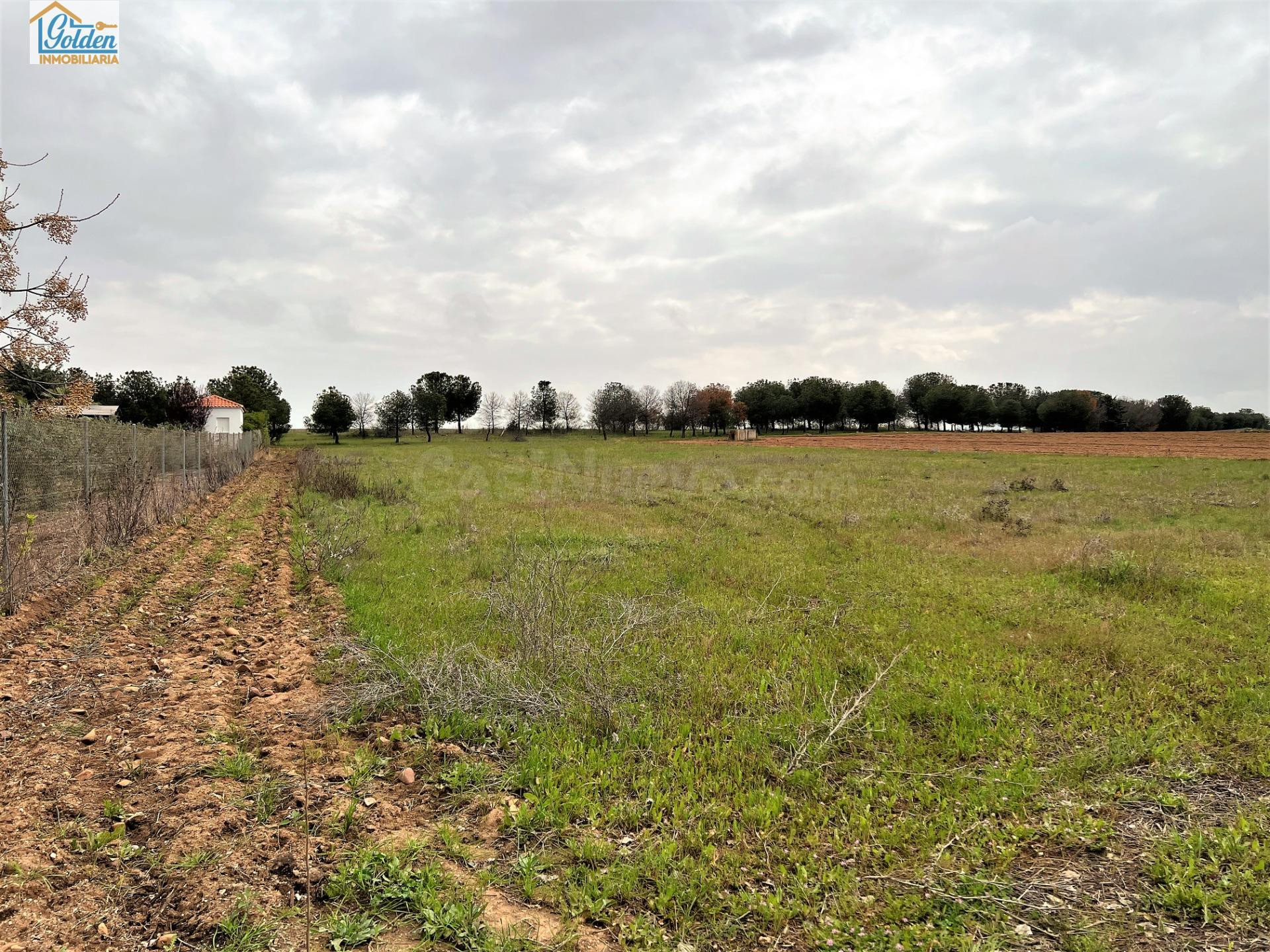 TERRENO EN VENTA POR LA LOCALIDAD DE MENGABRIL