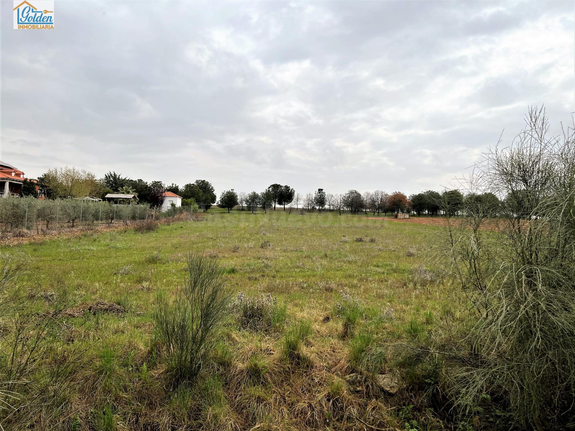 TERRENO EN VENTA POR LA LOCALIDAD DE MENGABRIL - foto 2
