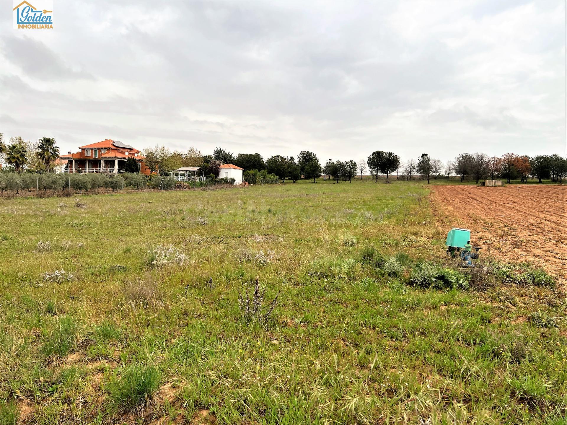 TERRENO EN VENTA POR LA LOCALIDAD DE MENGABRIL - foto 3