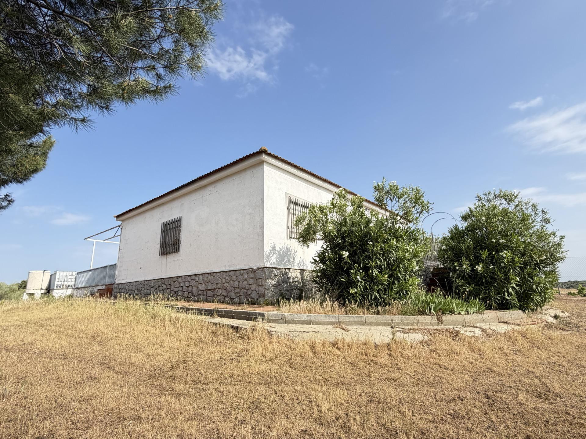 FINCA CON CASA EN TERMINO LA HABA - foto 2