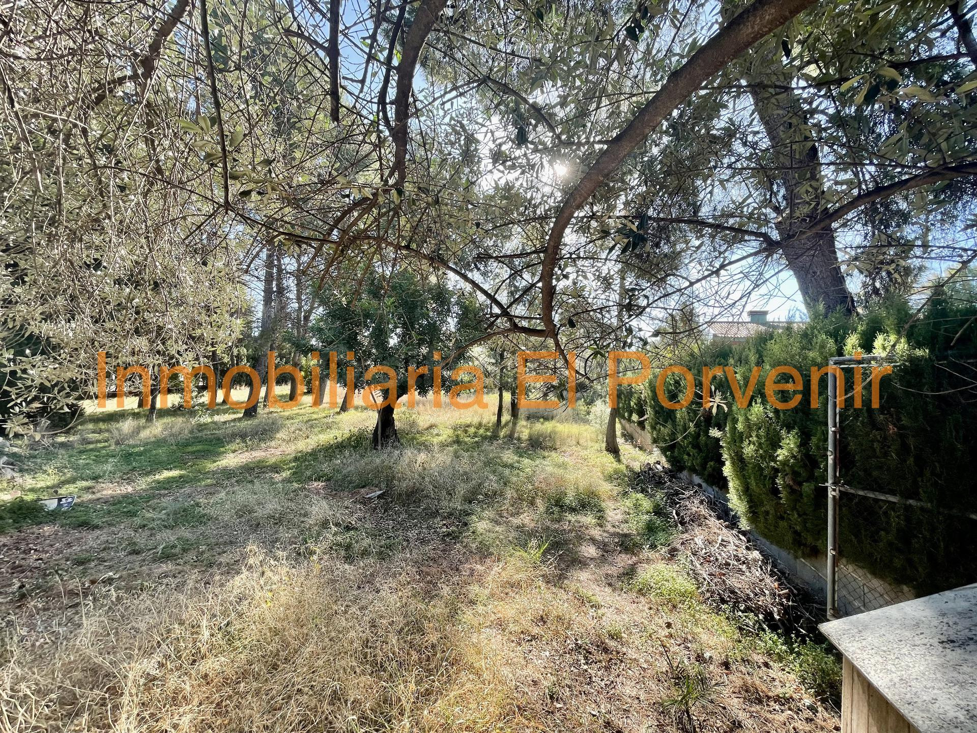 Parcela 3 habitaciones en venta - Santa apolonia - foto 3