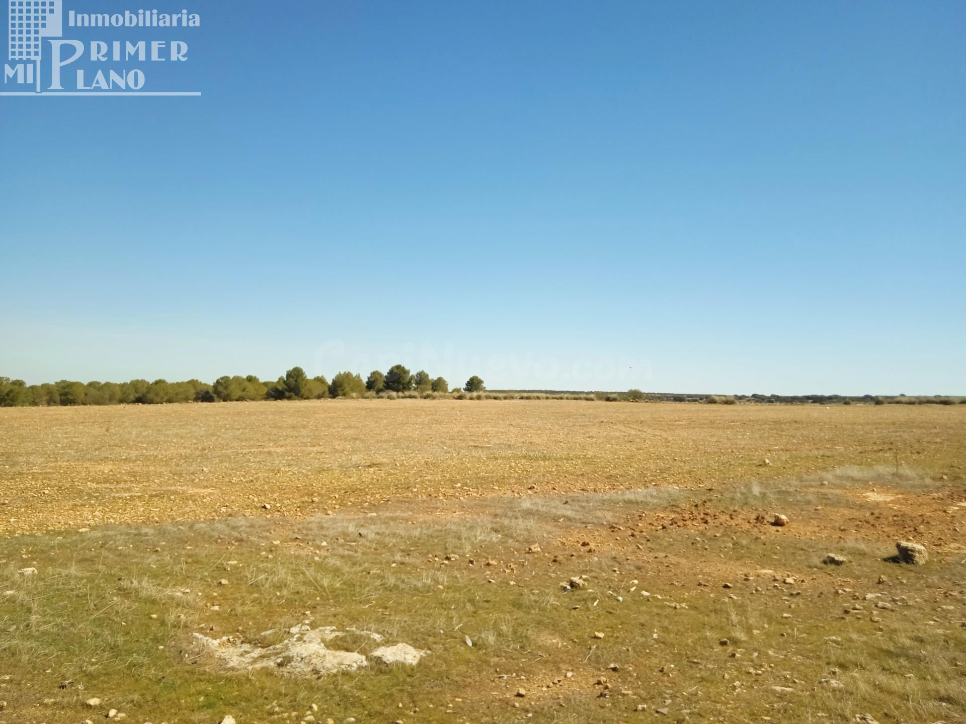 Se venden 11 hectareas de tierra de secano en el paraje La C
