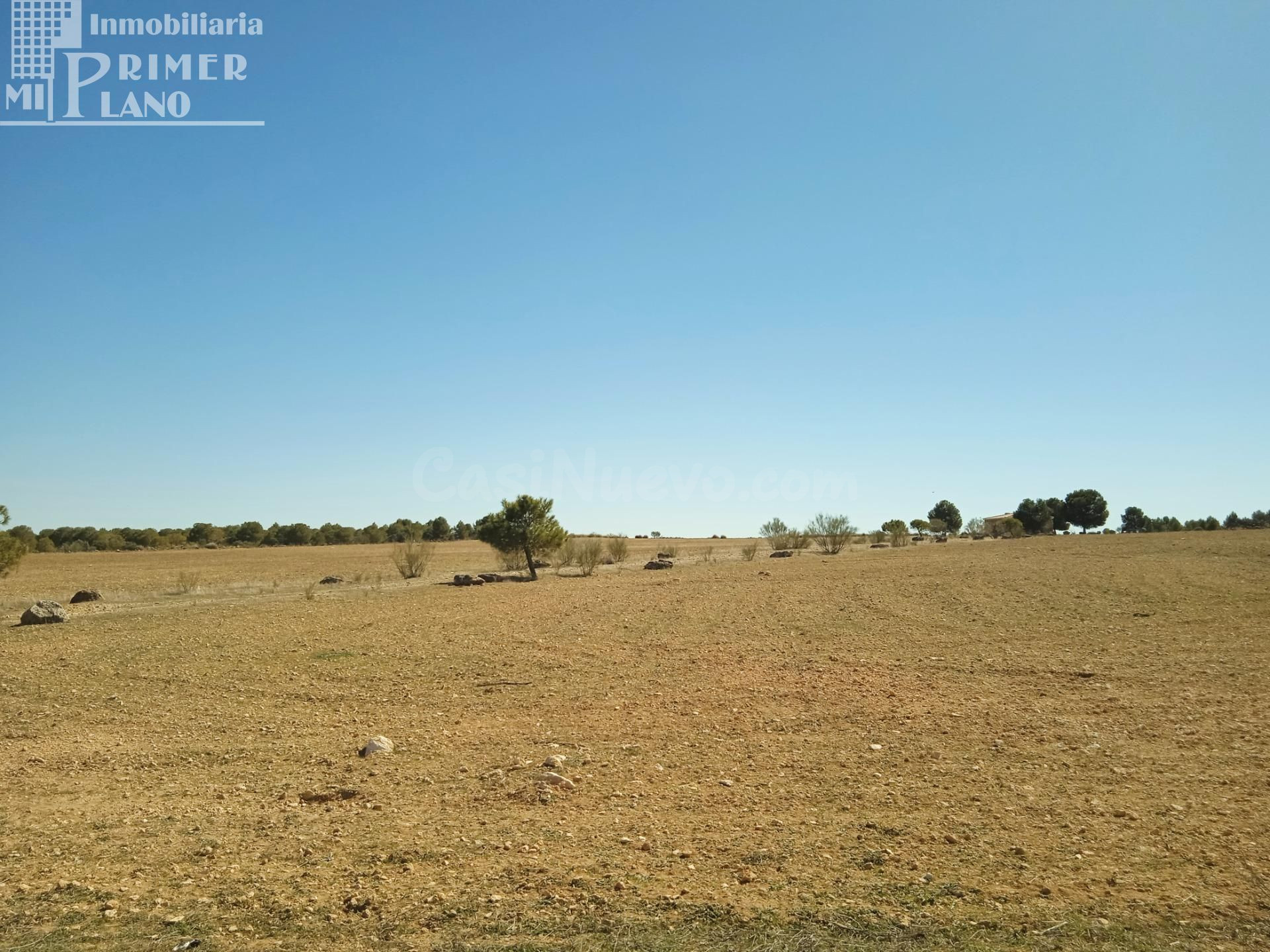 Se venden 11 hectareas de tierra de secano en el paraje La C - foto 2