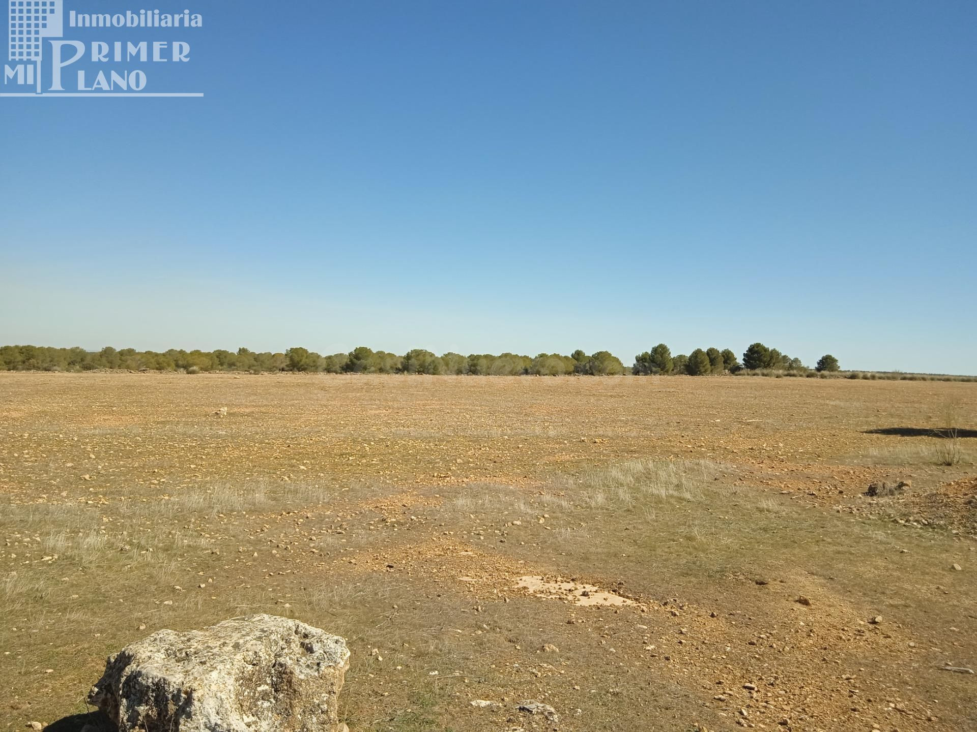 Se venden 11 hectareas de tierra de secano en el paraje La C - foto 4