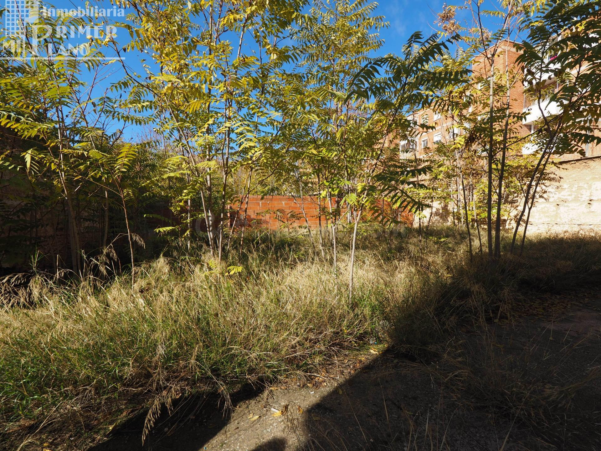 *Solar en Venta en Tomelloso, Zona Calle Doña Crisanta – Exc - foto 2