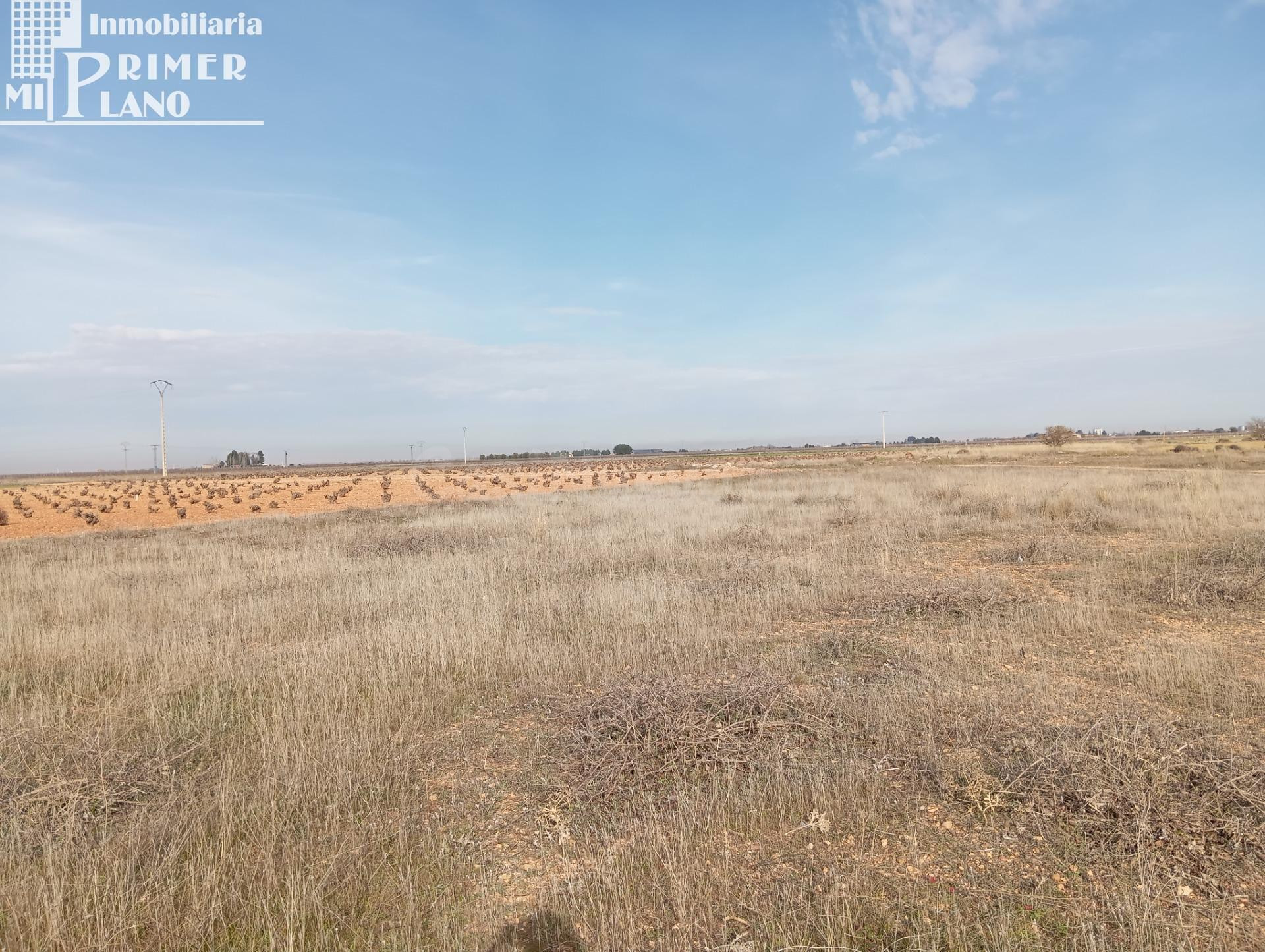 Parcela Rústica en Venta – Ossa de Montiel (Zona Carretera V