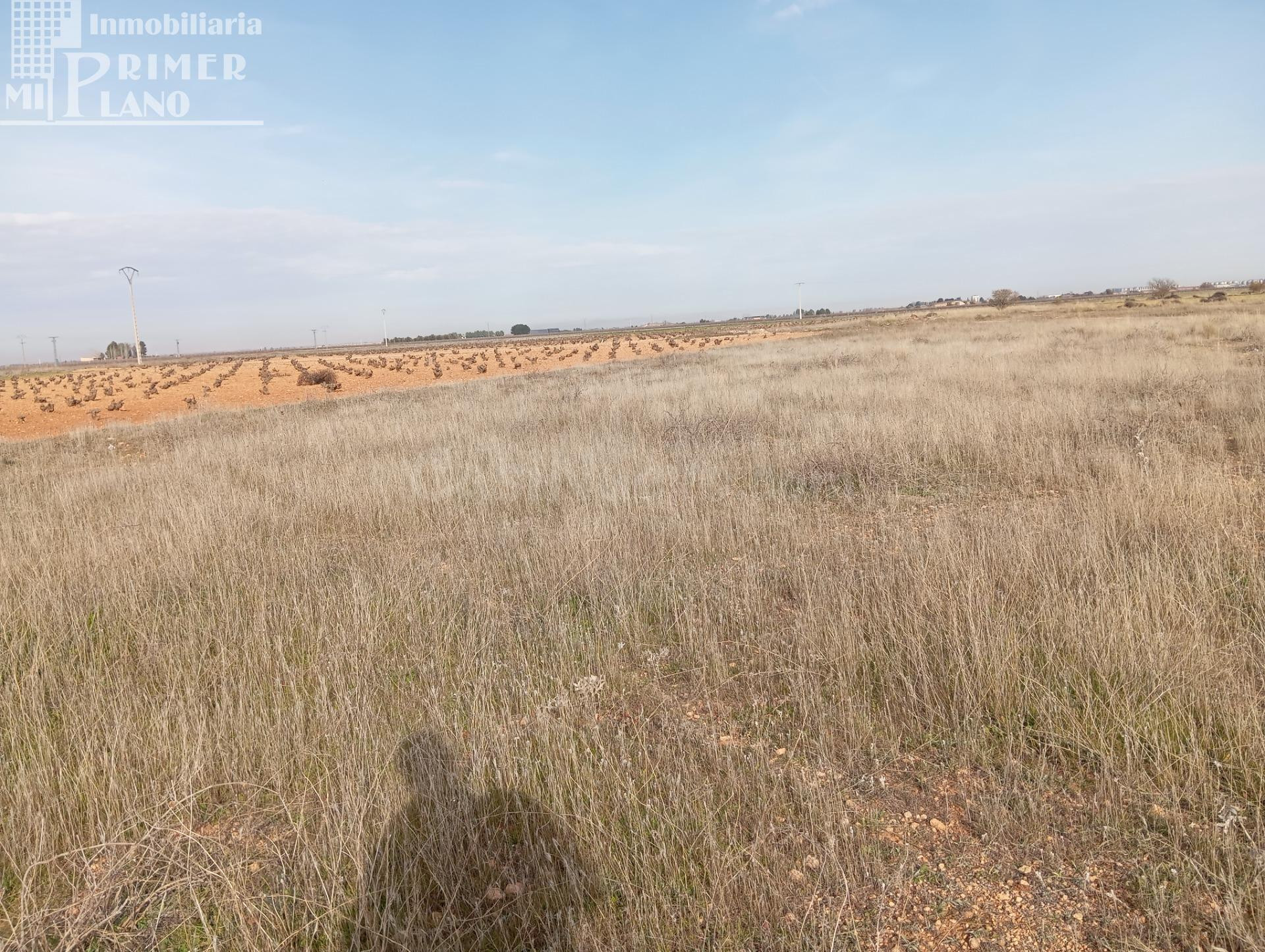 Parcela Rústica en Venta – Ossa de Montiel (Zona Carretera V - foto 3