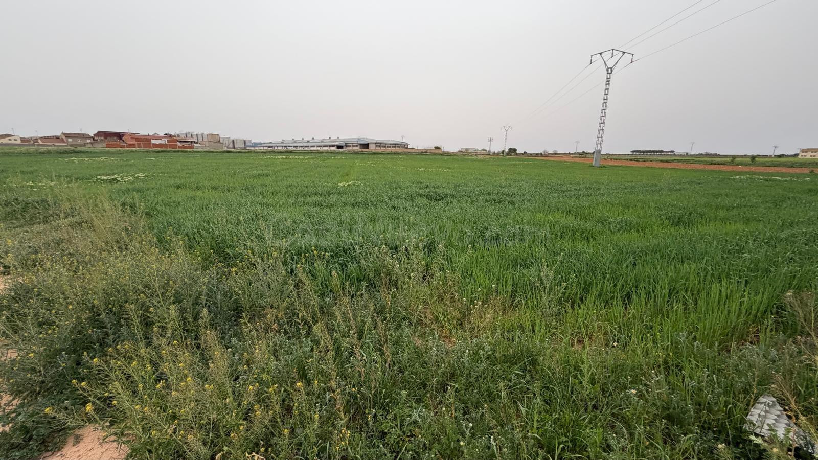 Terreno rústico en venta en Casas Ibáñez, Albacete - foto 3