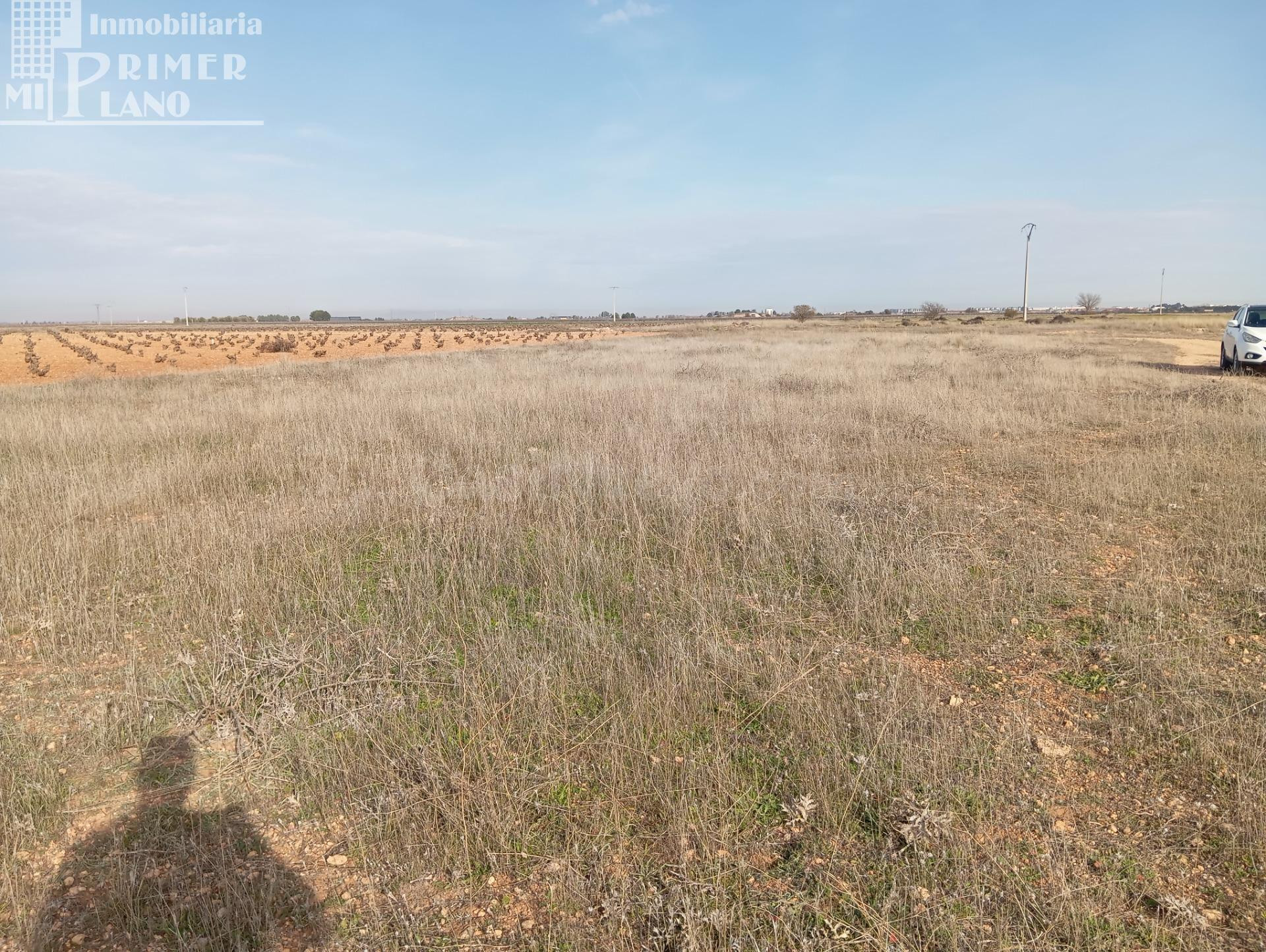 Parcela rústica de secano en Socuéllamos – Zona Carretera To - foto 4