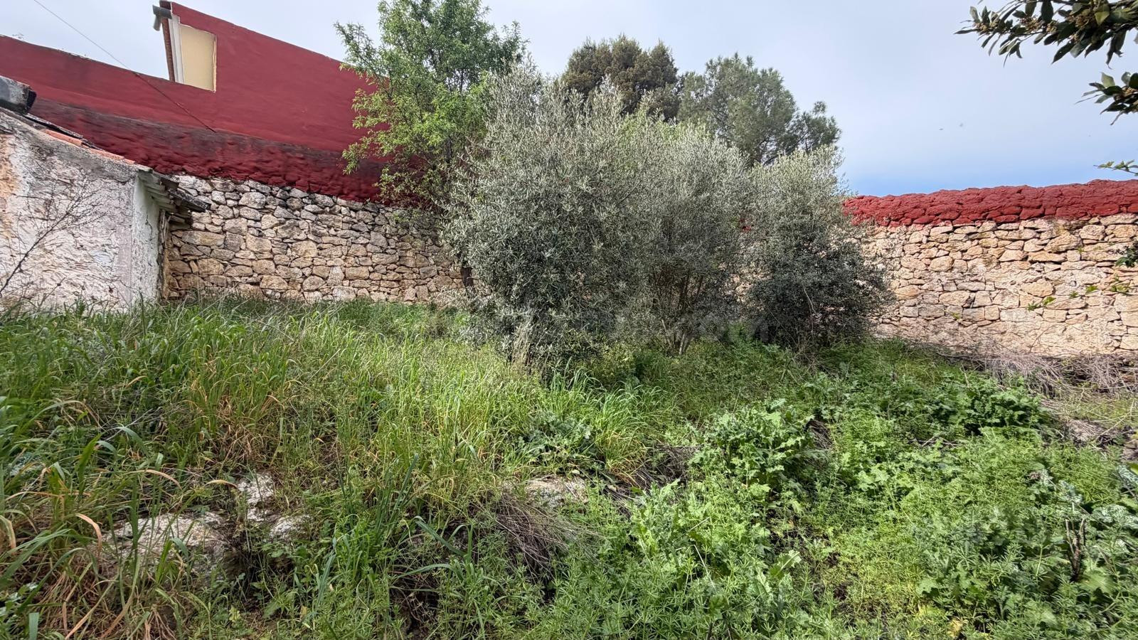 Casa con terreno en venta en Abengibre, Albacete - foto 2
