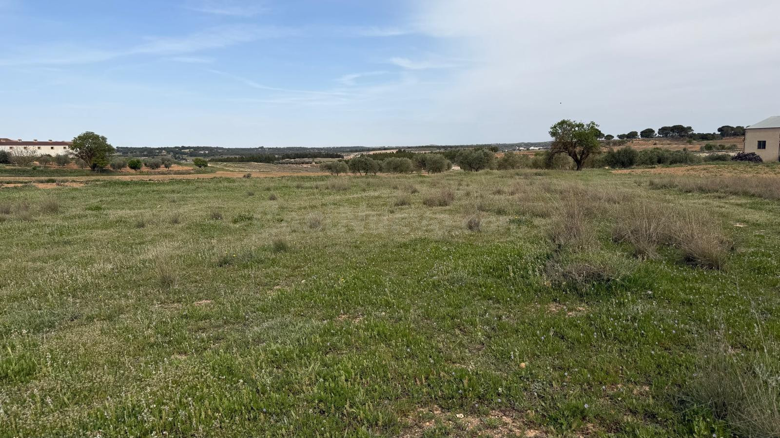 Se vende parcela rústica en Abengibre, Albacete. - foto 2