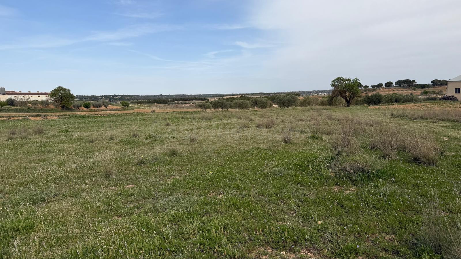 Se vende parcela rústica en Abengibre, Albacete. - foto 3