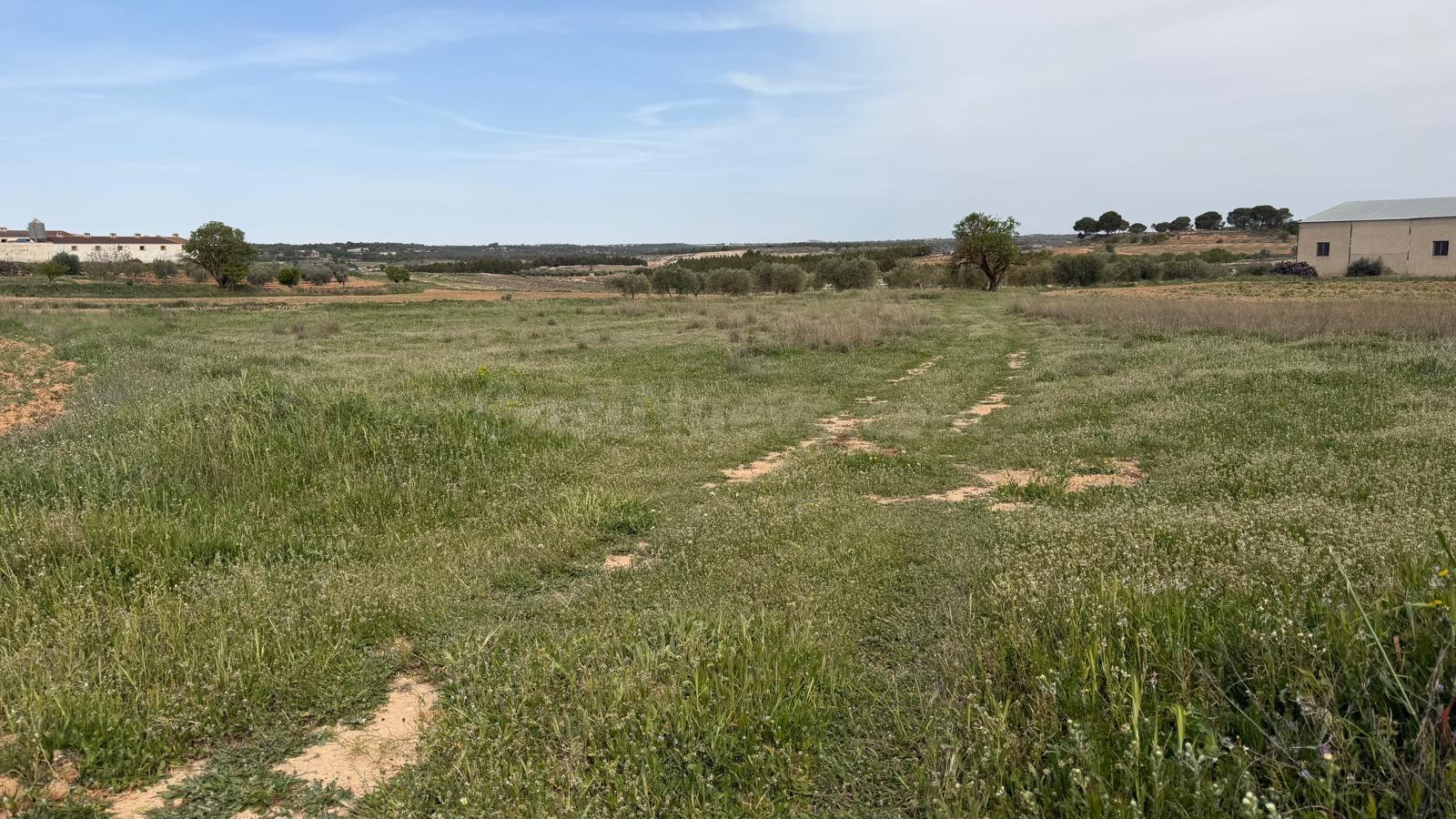 Se vende parcela rústica en Abengibre, Albacete. - foto 4