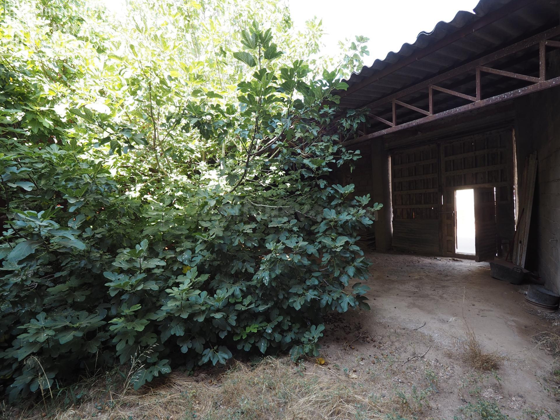 *¡SUPER OFERTA DE ULTIMA HORA! Solar en Venta en Tomelloso - - foto 3