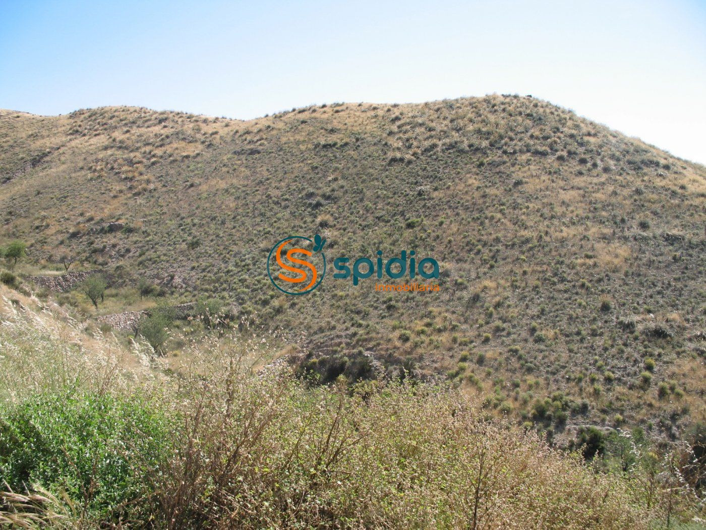 VENTA DE PARCELA DE 3H EN GOÑAR, HUÉRCAL OVERA - foto 4