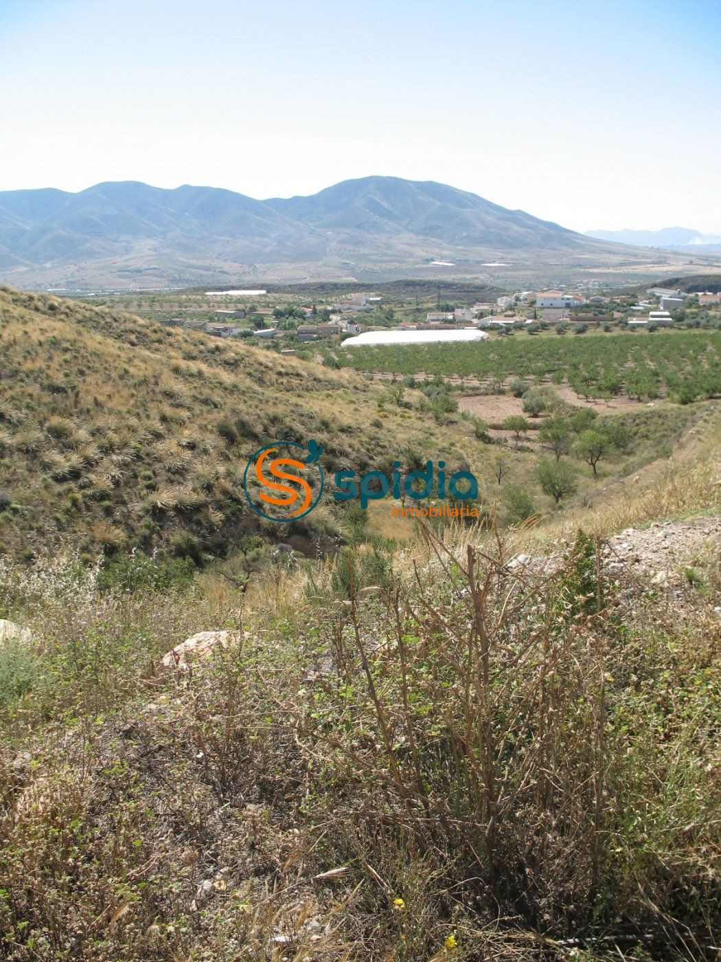 VENTA DE PARCELA DE 3H EN GOÑAR, HUÉRCAL OVERA - foto 5