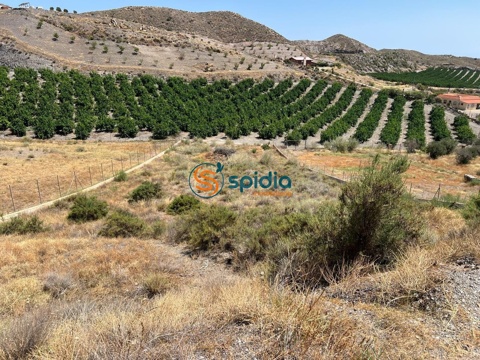 TERRENO RÚSTICO DE 2.200 m2 A LA VENTA EN TEBAR CON AGUA Y L - foto 4